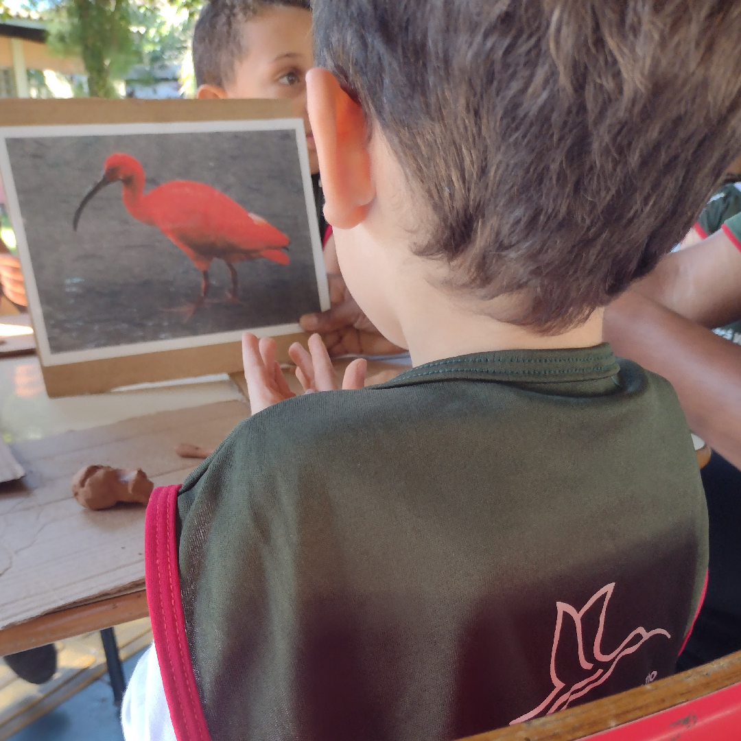 educacao-ambiental-3