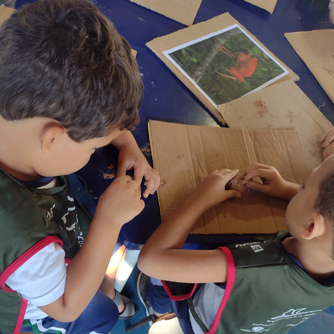 educacao-ambiental-4