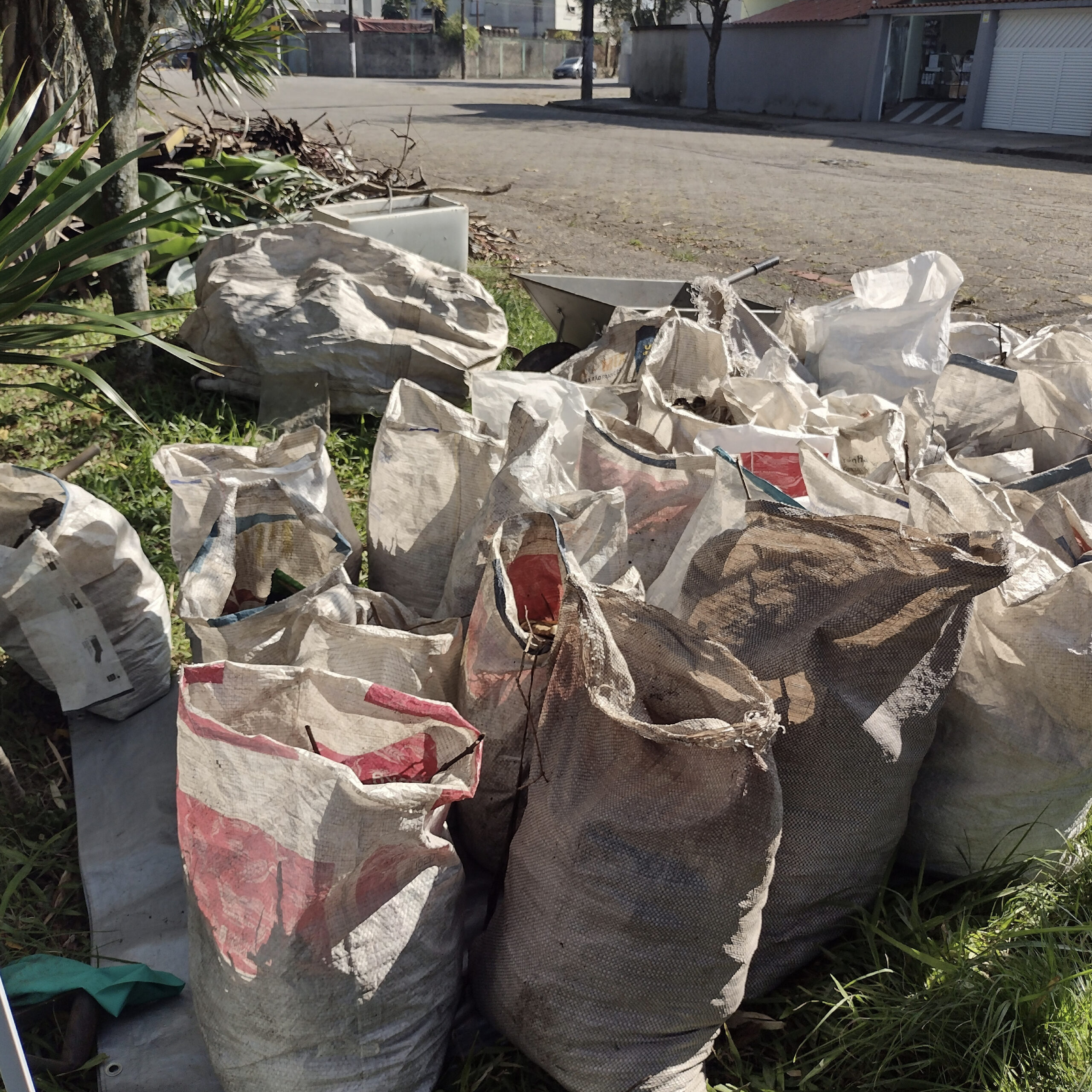 coleta-agosto-04