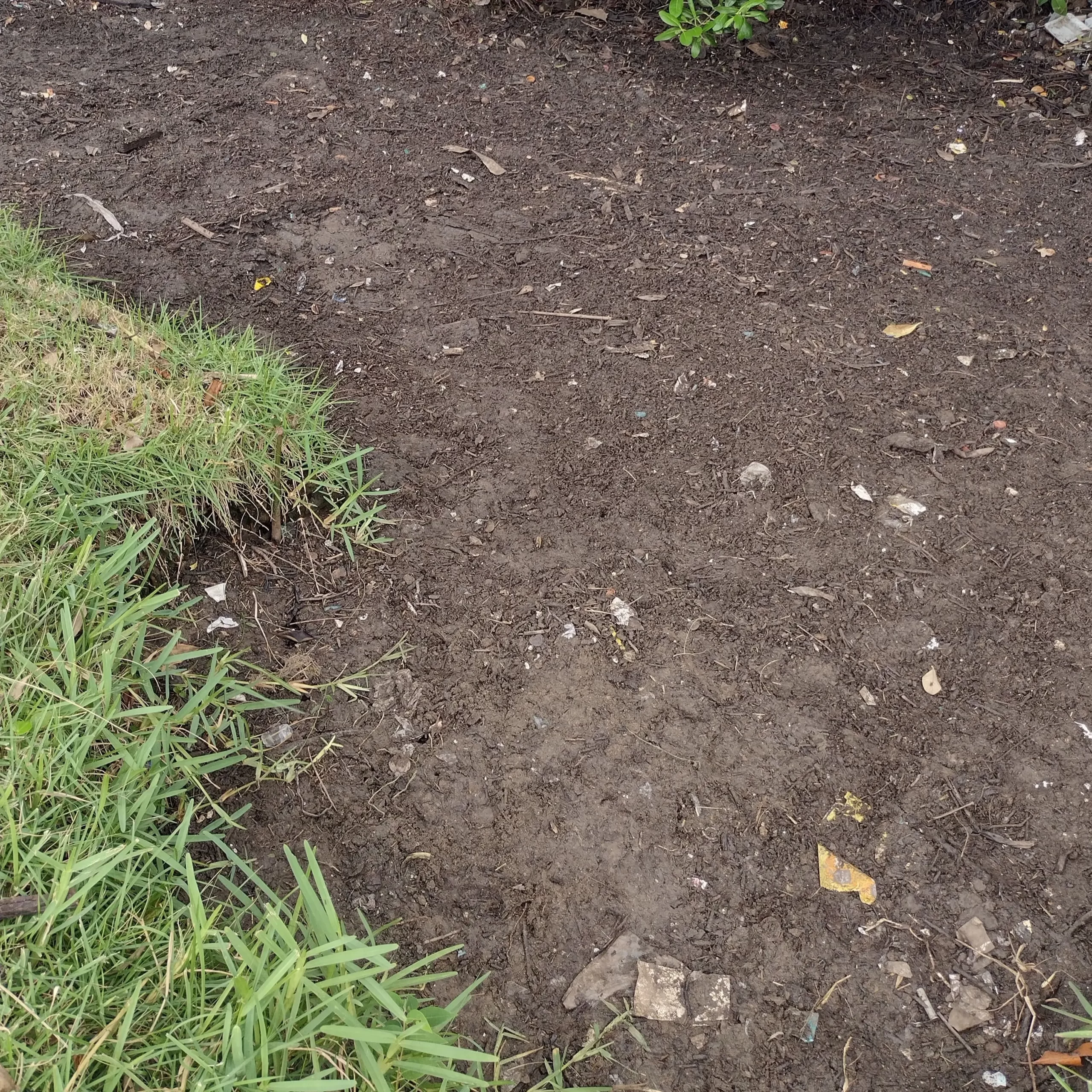 coleta-012024-4