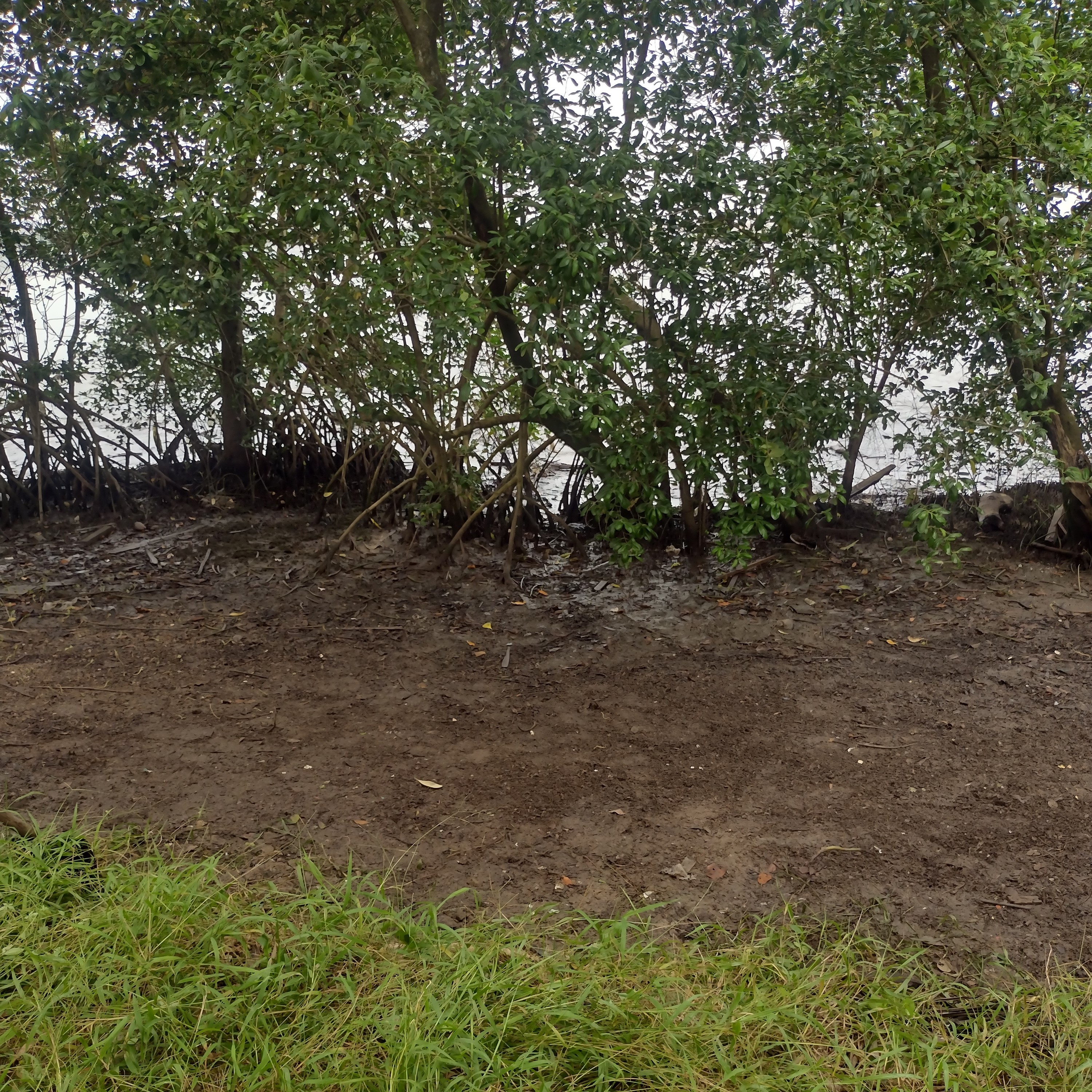 IMG_20240408_103254801_HDR