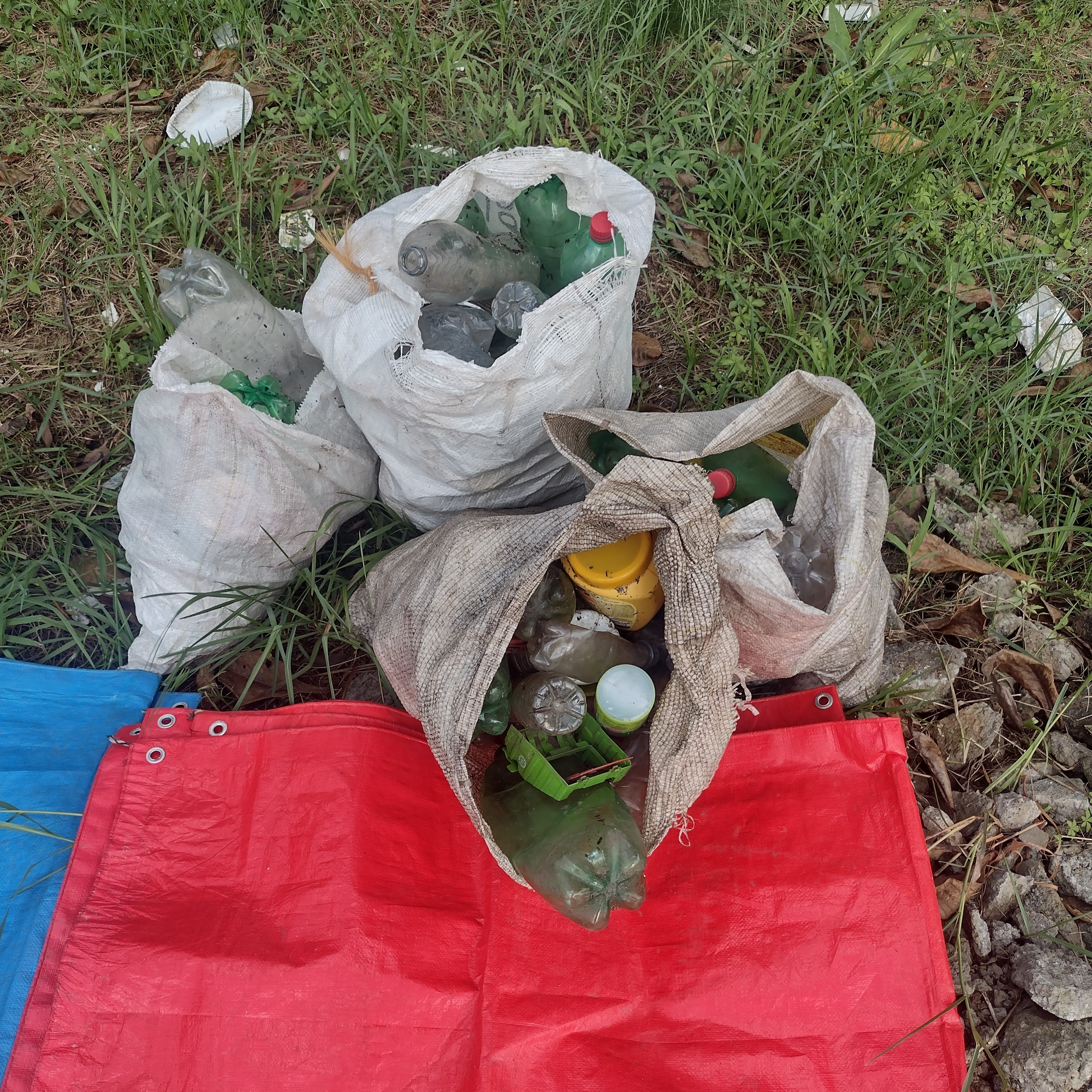 coleta-reciclagem-3-052024